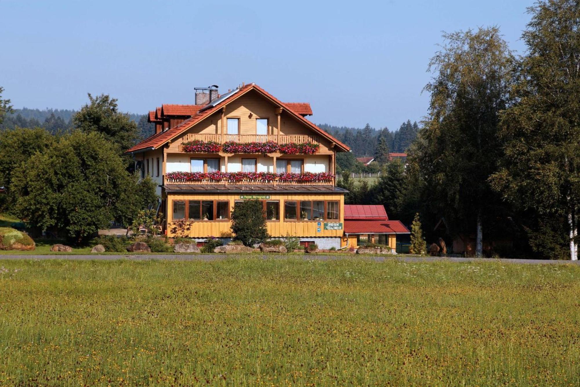 Pension Wiesengrund Neuschönau Екстериор снимка