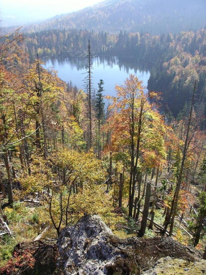 Pension Wiesengrund Neuschönau Екстериор снимка
